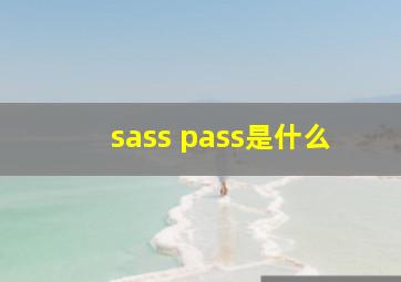 sass pass是什么